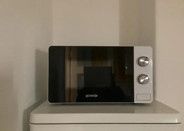 Poppy Flower