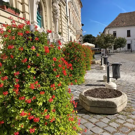 Poppy Flower شقة *