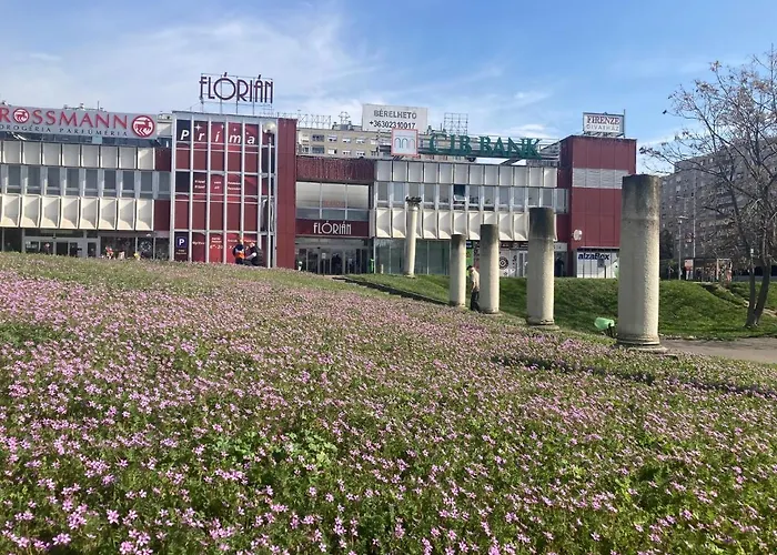 Poppy Flower アパート