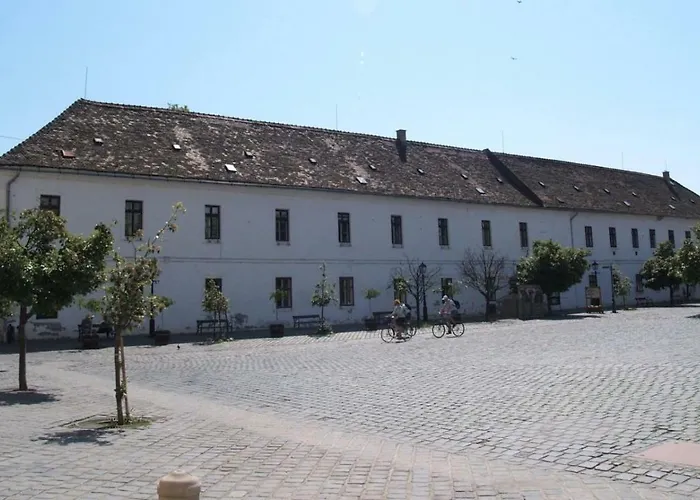 Poppy Flower * ブダペスト